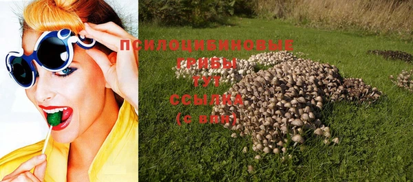 тгк Богданович