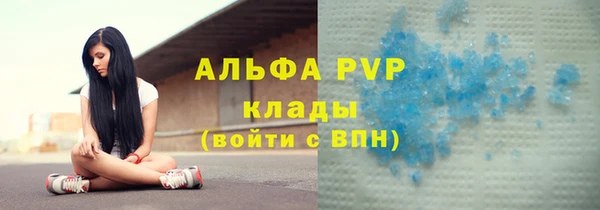 тгк Богданович