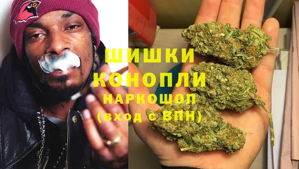 тгк Богданович
