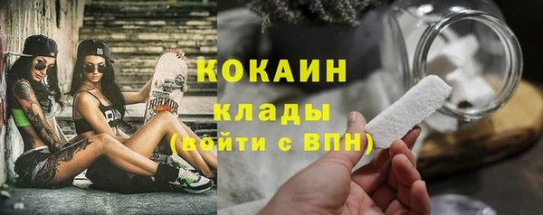 тгк Богданович