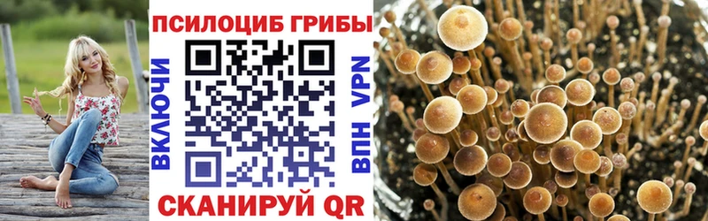 Псилоцибиновые грибы Psilocybe  Когалым 